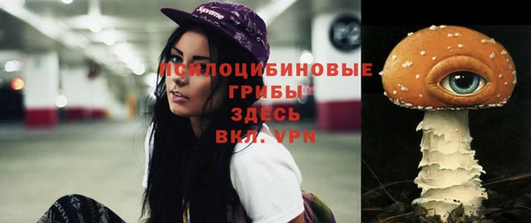 mix Новодвинск