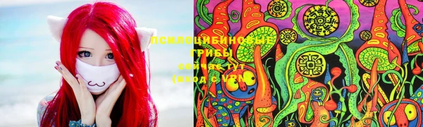 таблы Ельня