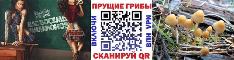 Псилоцибиновые грибы мухоморы  Корсаков 
