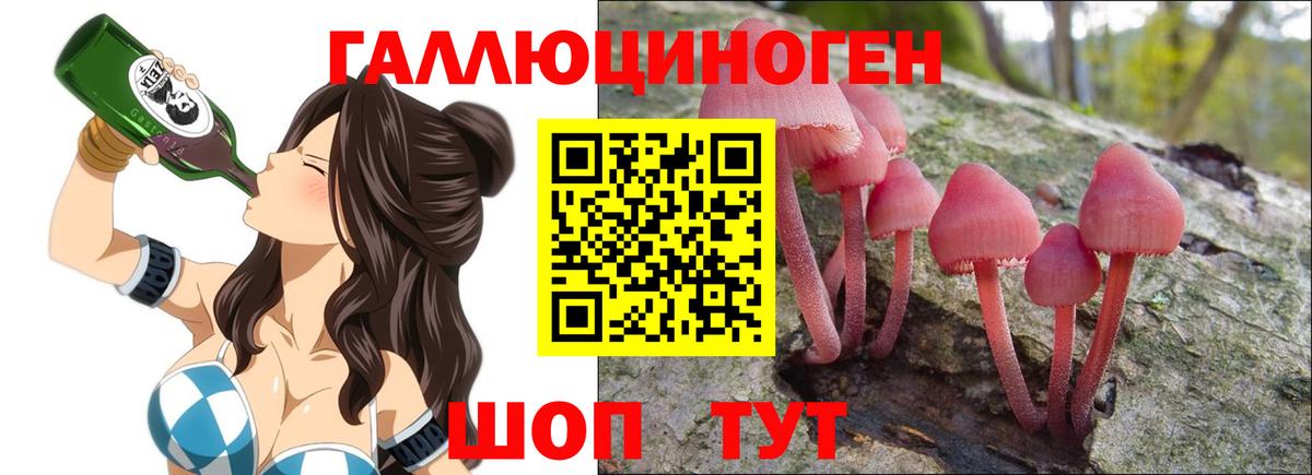 Корсаков  Псилоцибиновые грибы мицелий  Вход с VPN 